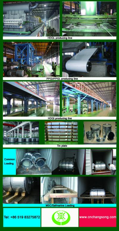 Galvalume steel coil (Galvalume steel coil)